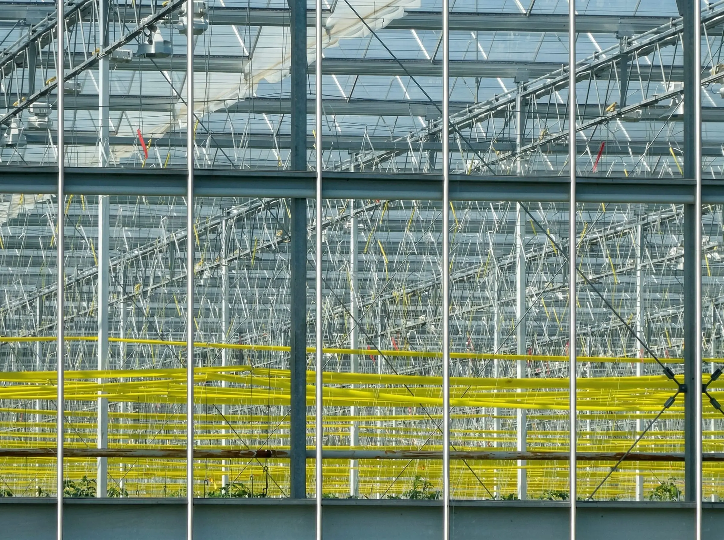 Фотография тепличного комплекса